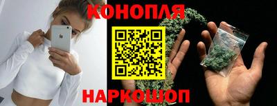 тгк Обь