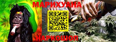 тгк Обь