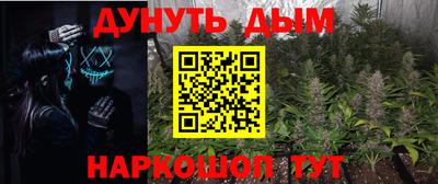 тгк Обь