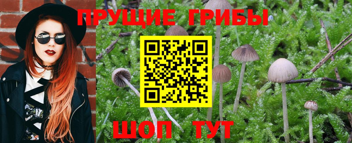 Галлюциногенные грибы GOLDEN TEACHER Курск